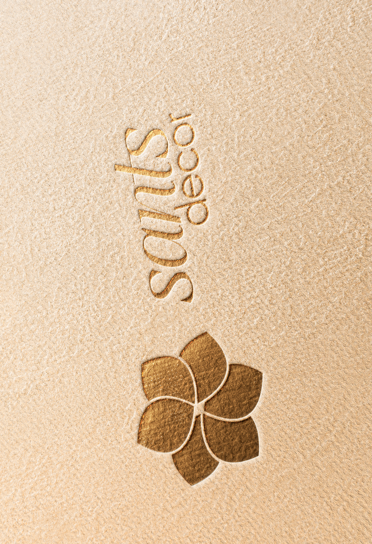 LOGO-SANTS-DECOR-site